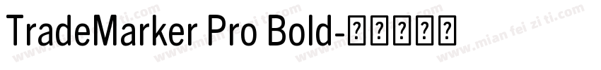 TradeMarker Pro Bold字体转换